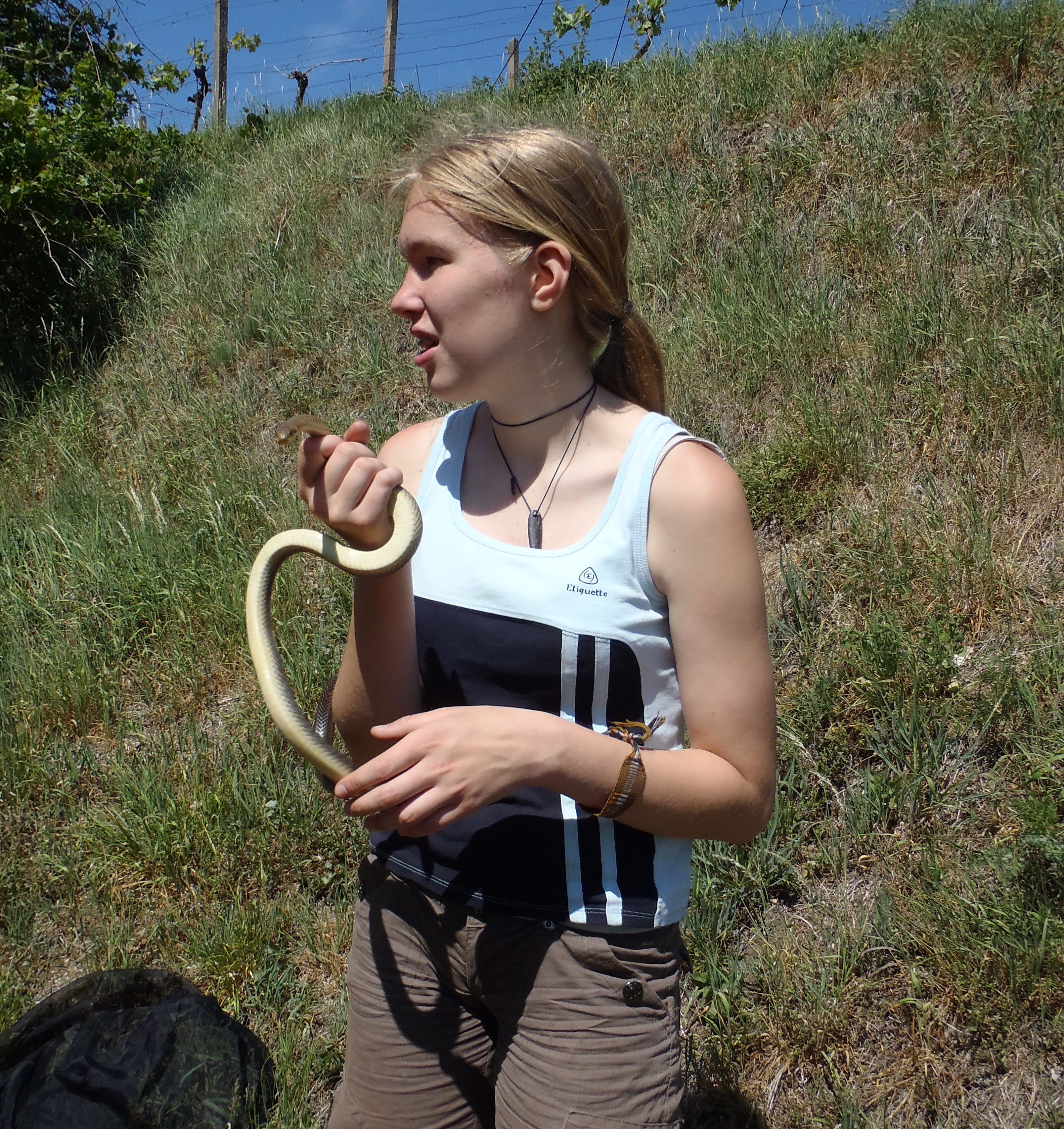 fotografie organizátora FN