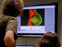 f. mikroskop a pod ním krásný řez