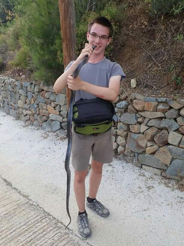 Organizátor FN Vojta W