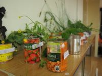 Výjezdní Fluorescenční noc